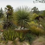 University of California Botanical Garden