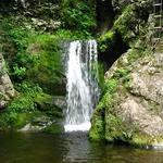 Entrance to the Wards Falls Hiking Trail