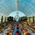 Como Park Zoo & Conservatory