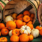 Wellwood Orchards Inc