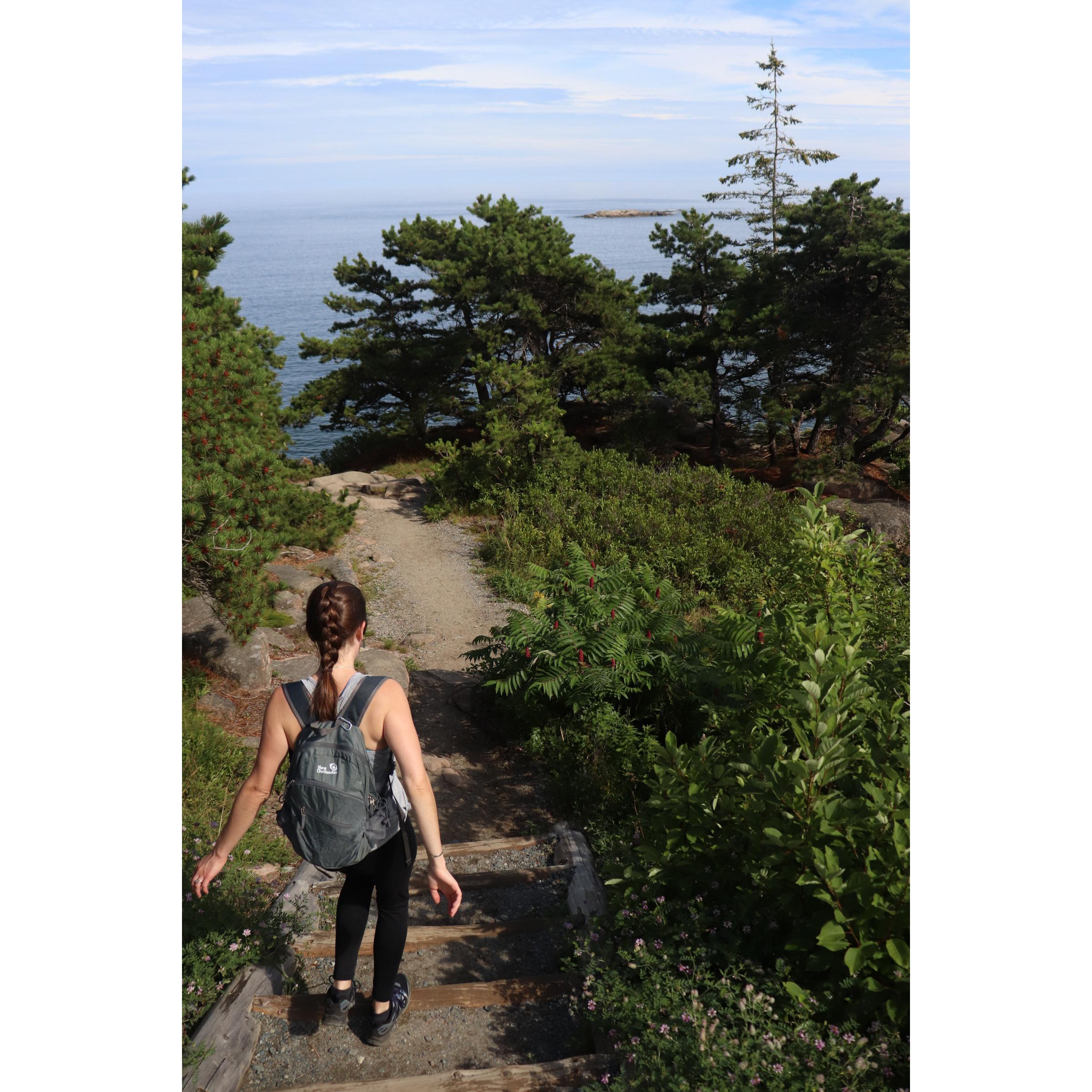 Ocean Trail Path - climbing down to the rocky vistas