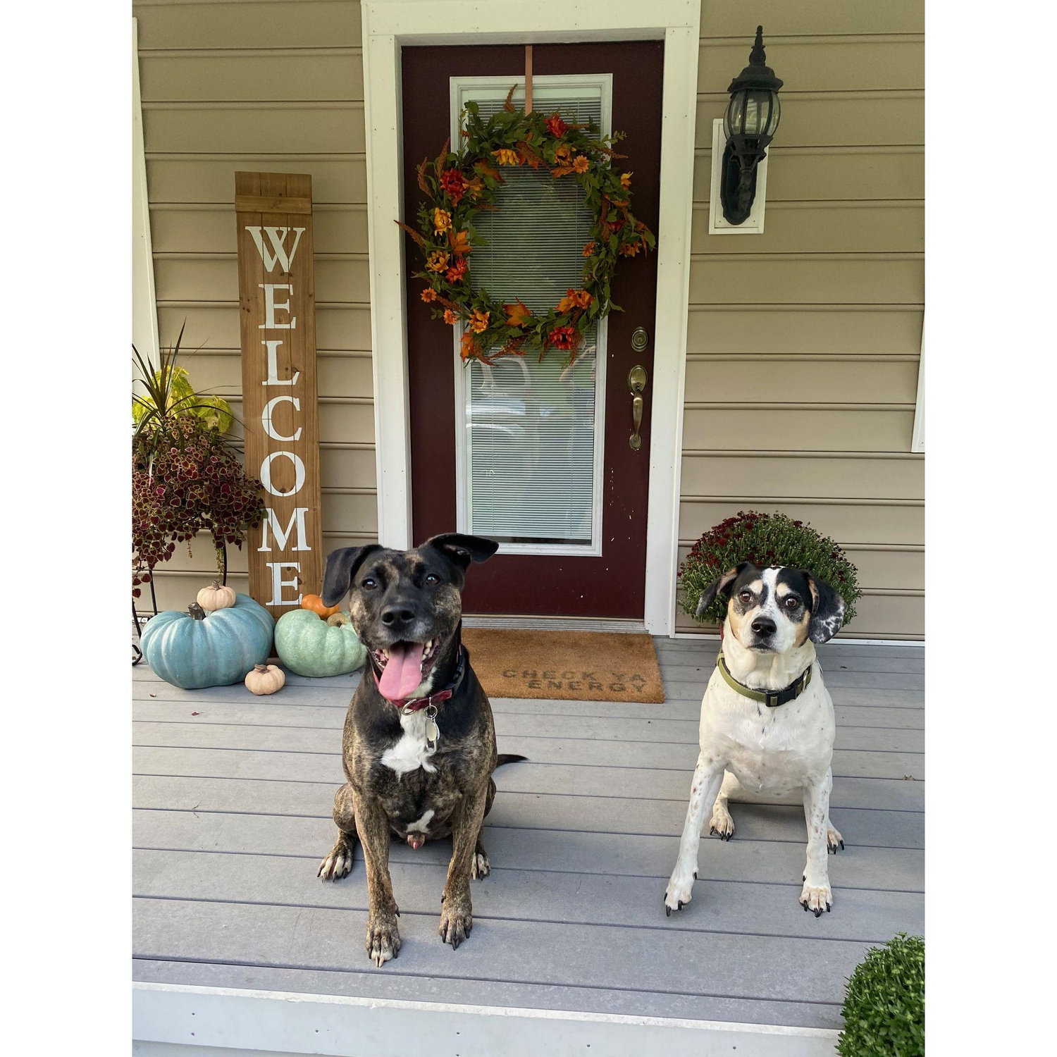 2/3 of our children: Charlie & Farah.