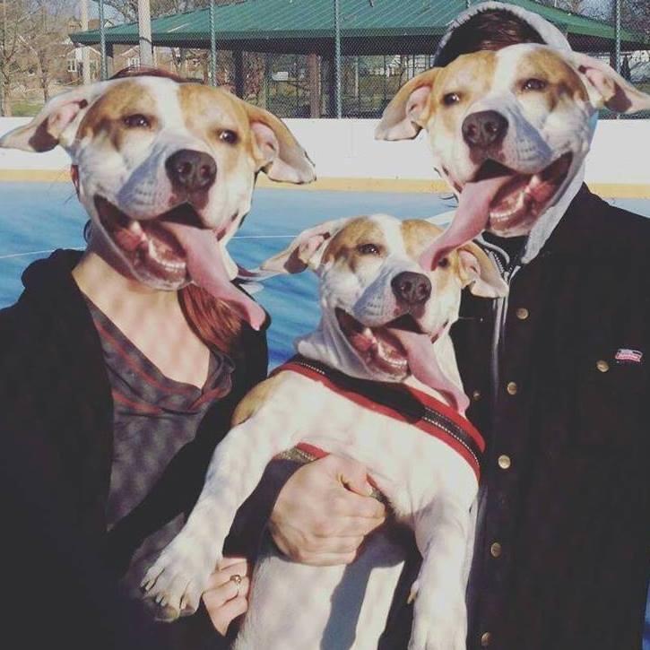 When you really love your dog...