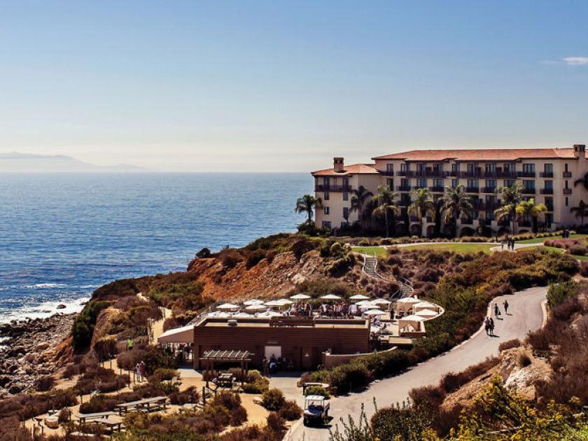 The Wedding Website of Yulia Kurylo and Amir Amidi