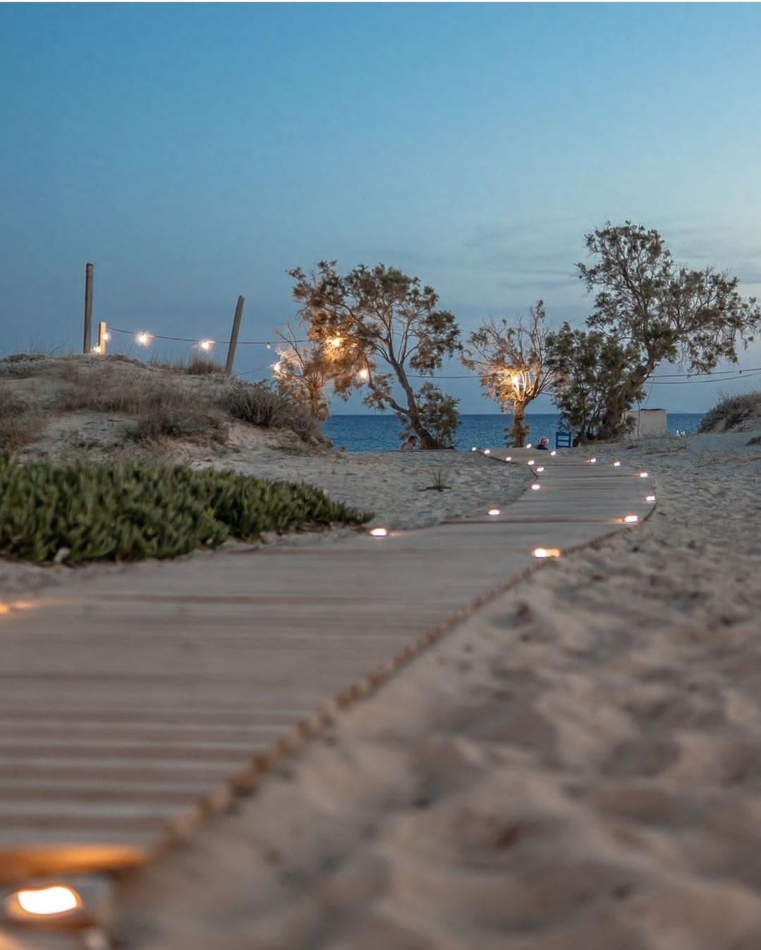 The Wedding Website of Lucy Warren-Whitman and Jesse Rosell