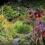 Mendocino Coast Botanical Gardens