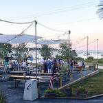 Island Creek Oysters