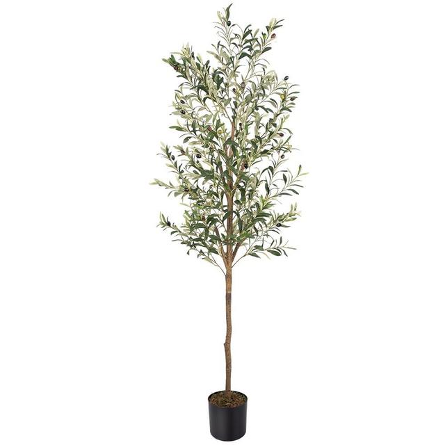 MCTYBB Artificial Fake Olive Tree 6FT Tall 1Pack Faux Silk Olive Tree for Home Living Room Office Decor Faux Artificial Plants Indoor Fake Potted Plants with Fruit & Free Moss