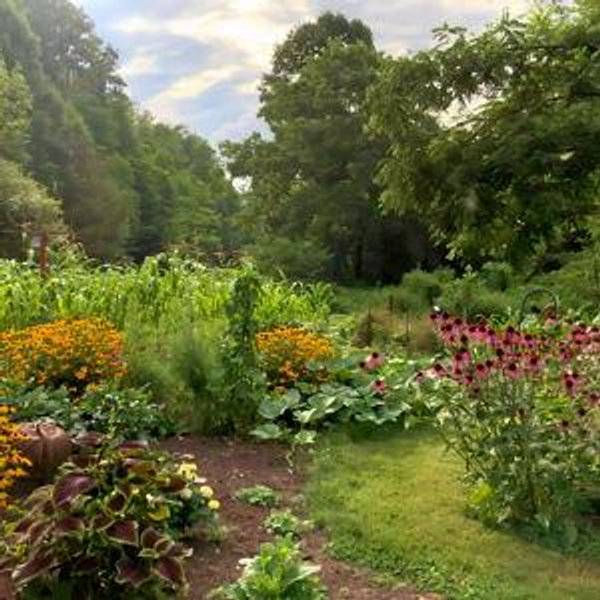 Help us grow the garden