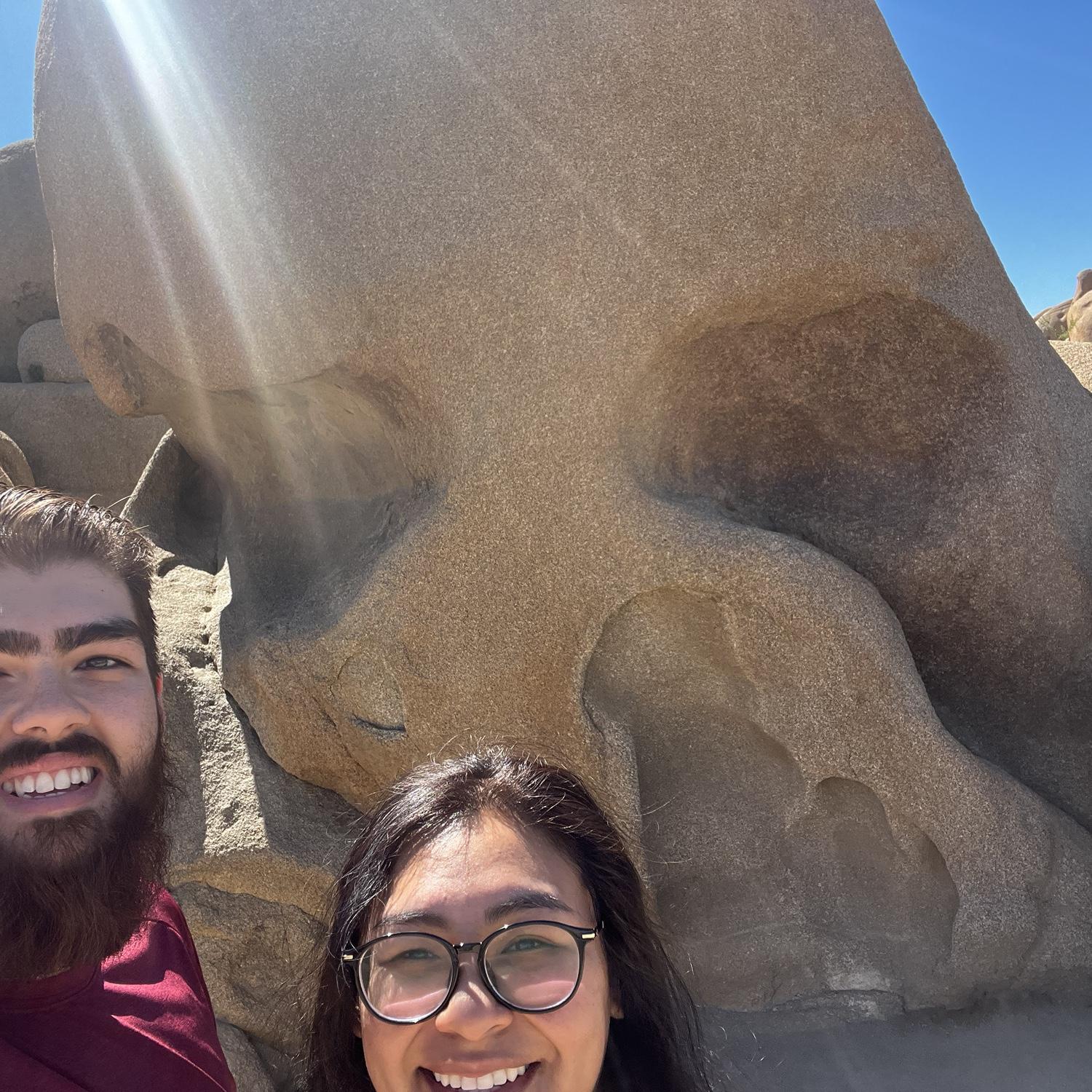 Petrified Forest 2024