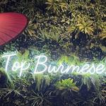 Top Burmese Burma Joy