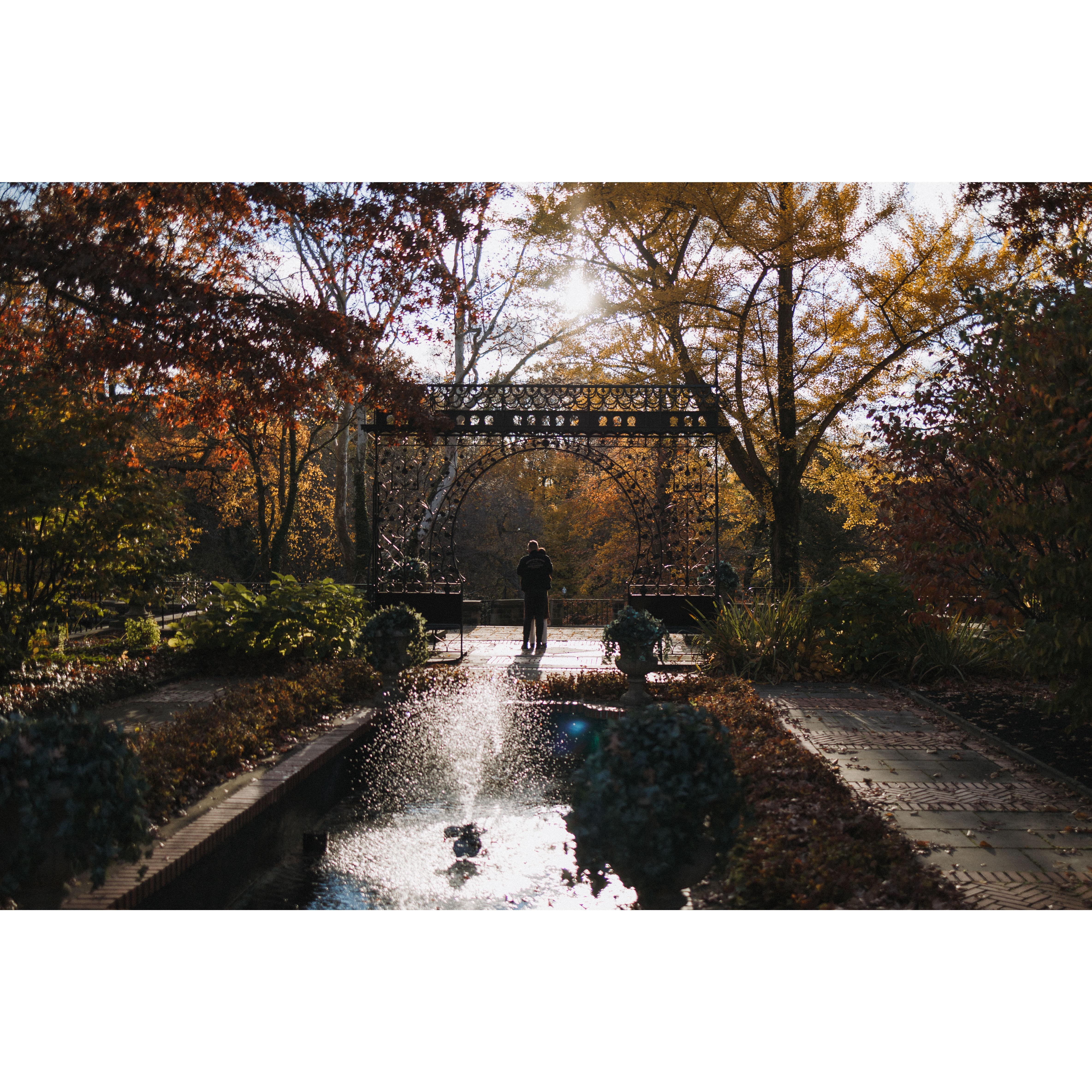 We ended up in the Hungarian Gardens in east Cleveland after an eventful day. Mitch had been hard at work all week raking this place! All photos are taken by Clover & Co.