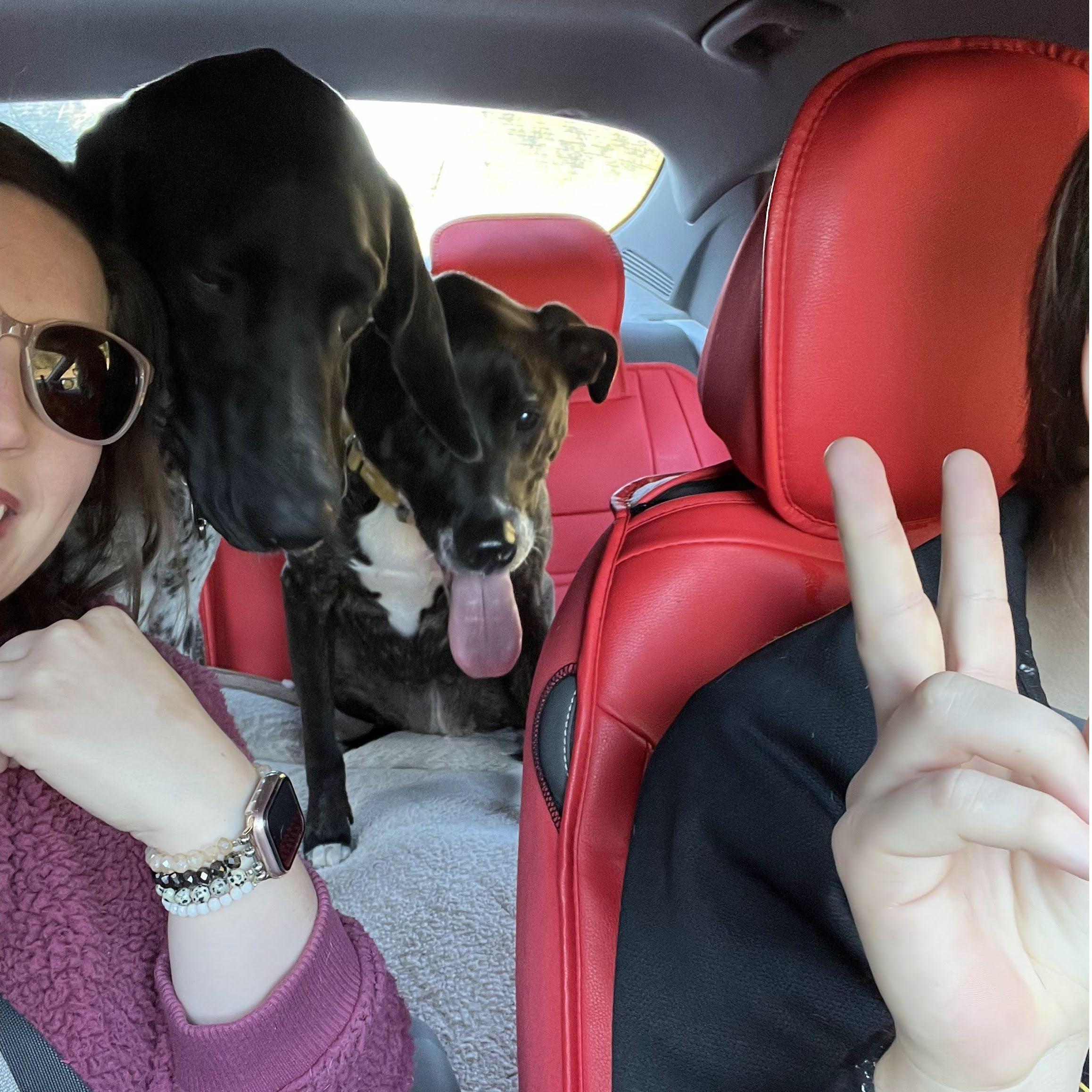 This was Rachel's soft launch on an instagram story, in the car on the way to Greenville for the first time.