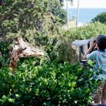 Santa Barbara Zoo