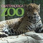 Chattanooga Zoo