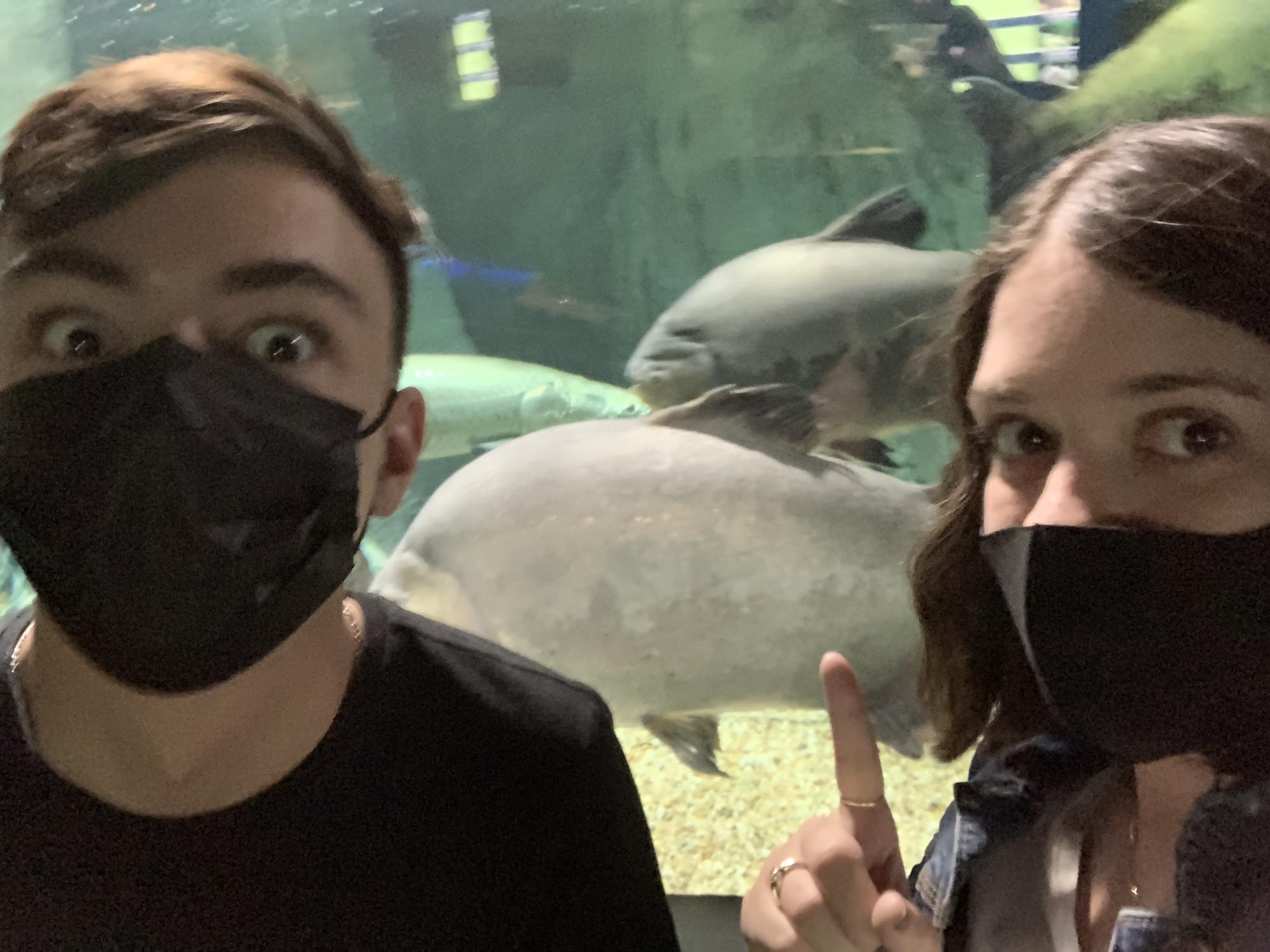 Big fish at OdySea Aquarium