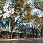 Coconut Grove