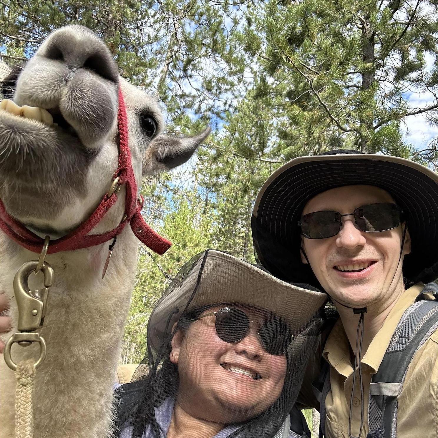 On the last day of our Yellowstone National Park llama trek, with one of our favorite buddies, Chauncey (2023)