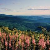 Skyline Drive