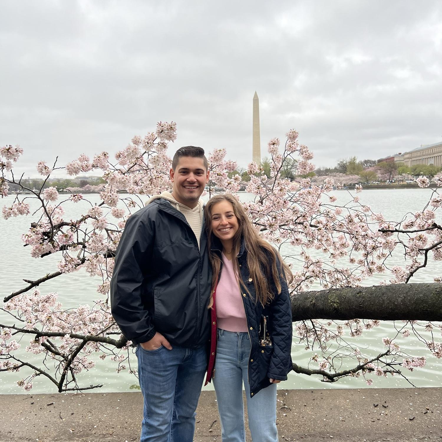 Sightseeing in D.C. to see the Cherry Blossoms on the National Mall!