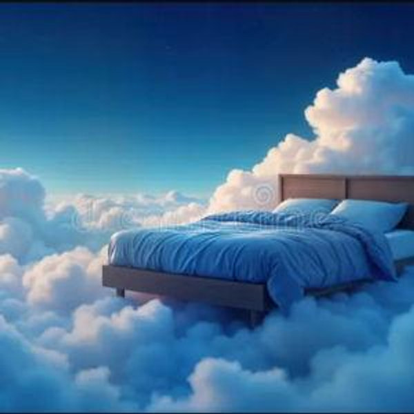 New Bed Fund