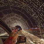 The Lights of Christmas