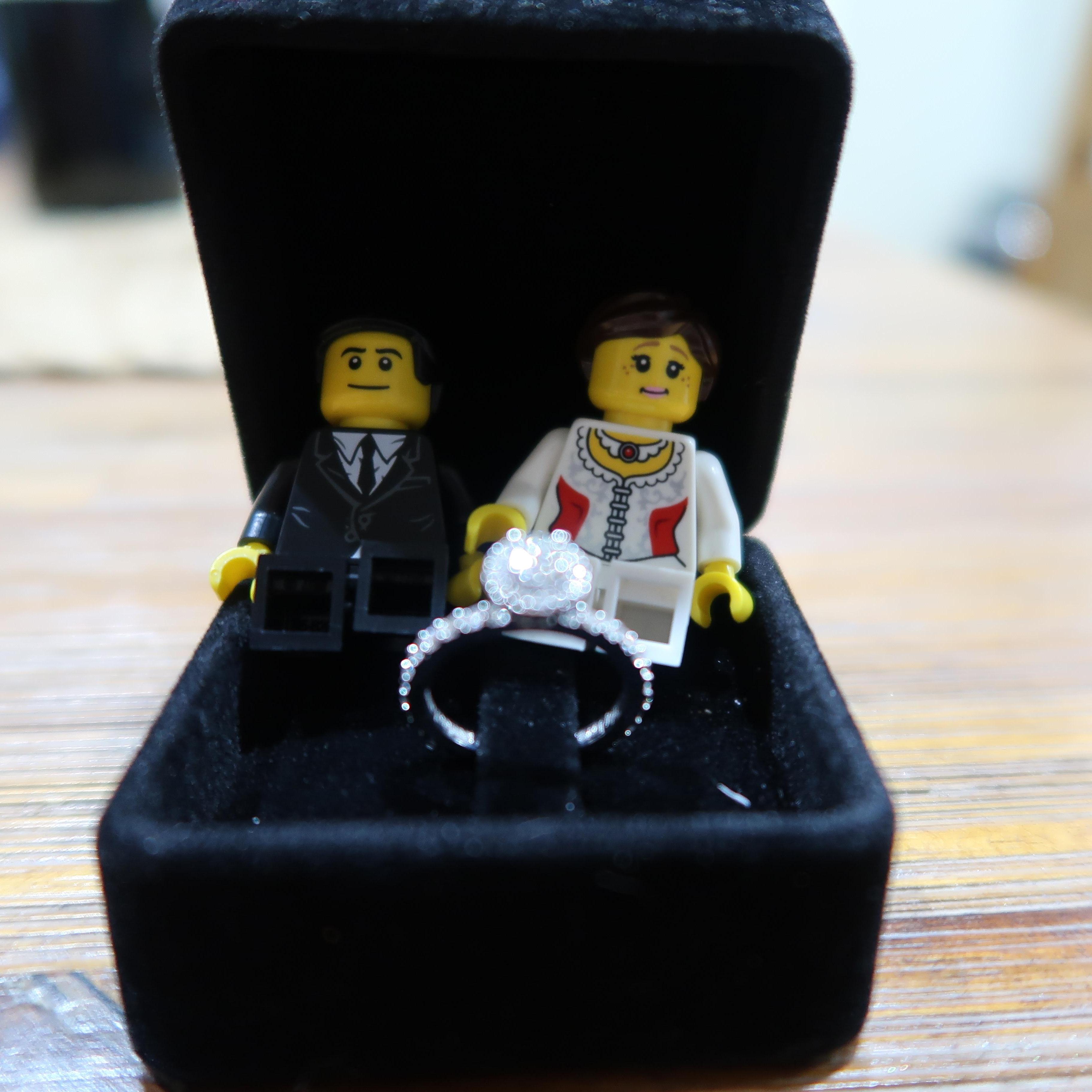 A piece from the proposal