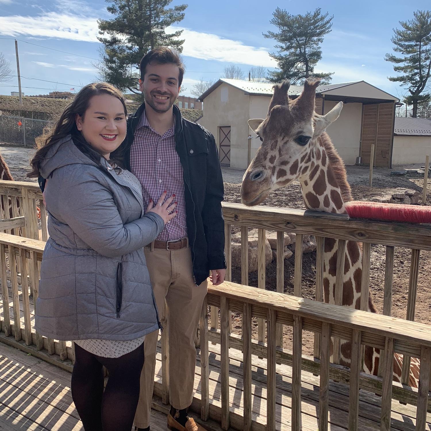 Valentine’s day brunch at the zoo, February 2022