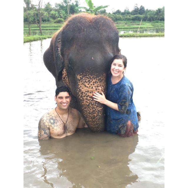Bathing elephants in Chiang Mai, Thailand.
