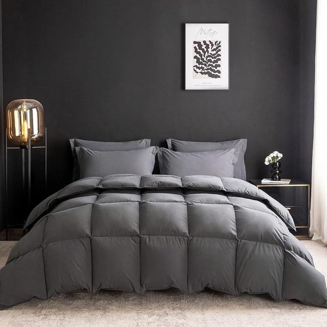 WENERSI Goose Feather Down Comforter Queen Size,Hotel Style Bedding Comforter,750+ Fill Power,1200TC,100% Organic Cotton Fabric,All Season Grey Duvet Insert with 8 Corner Tabs