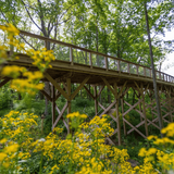Flat Fork Creek Park