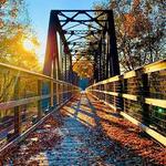 Palmetto Trail (Peak, South Carolina)