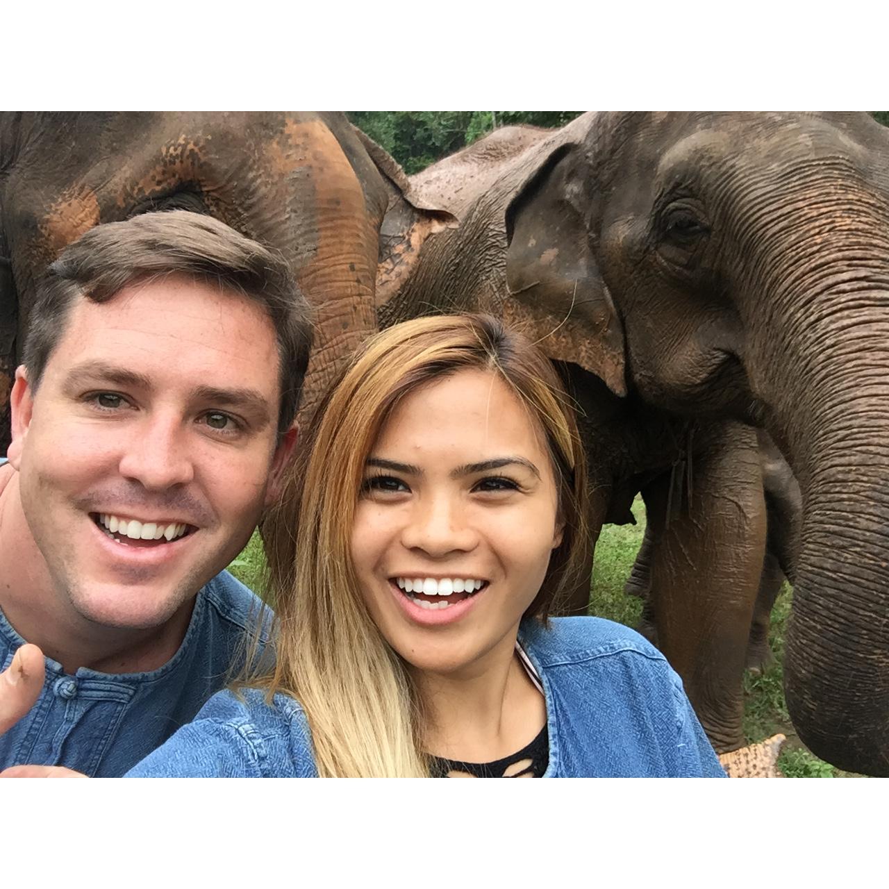 Hanging out with the elephants in Thailand