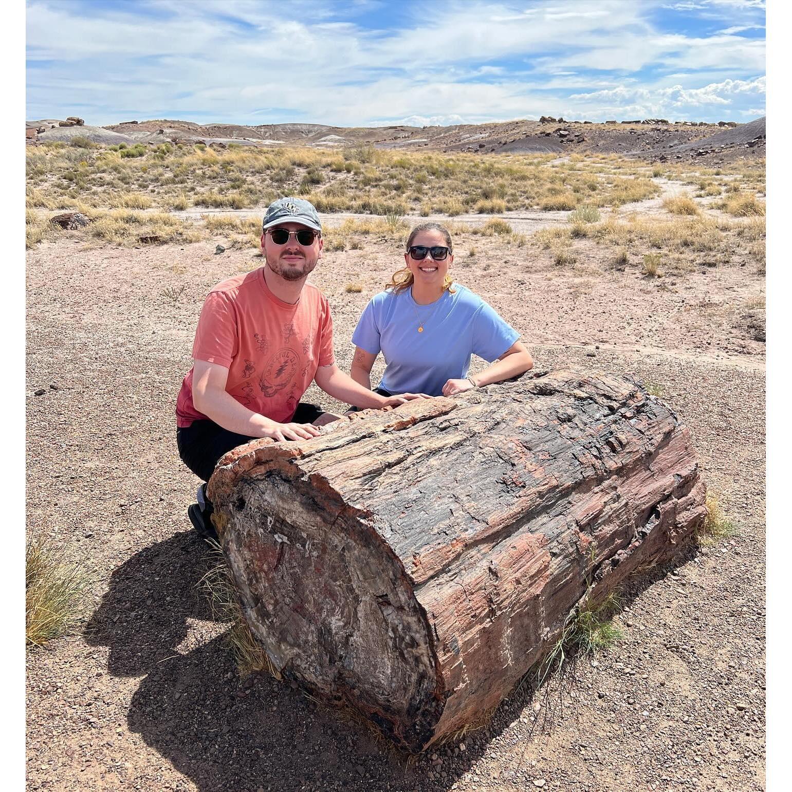 Petrified Forest National Park