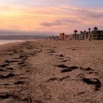Relax on the Beaches - Mission Beach is our Favorite!