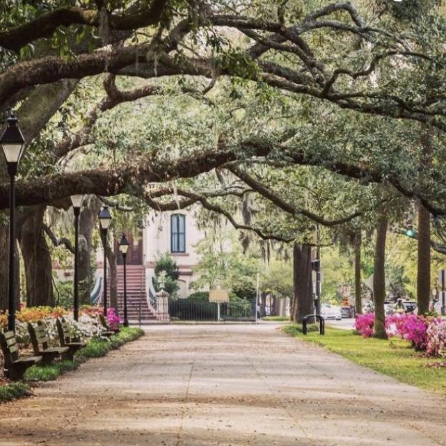 Honeymoon Roadtrip Stop #2: Savannah, GA