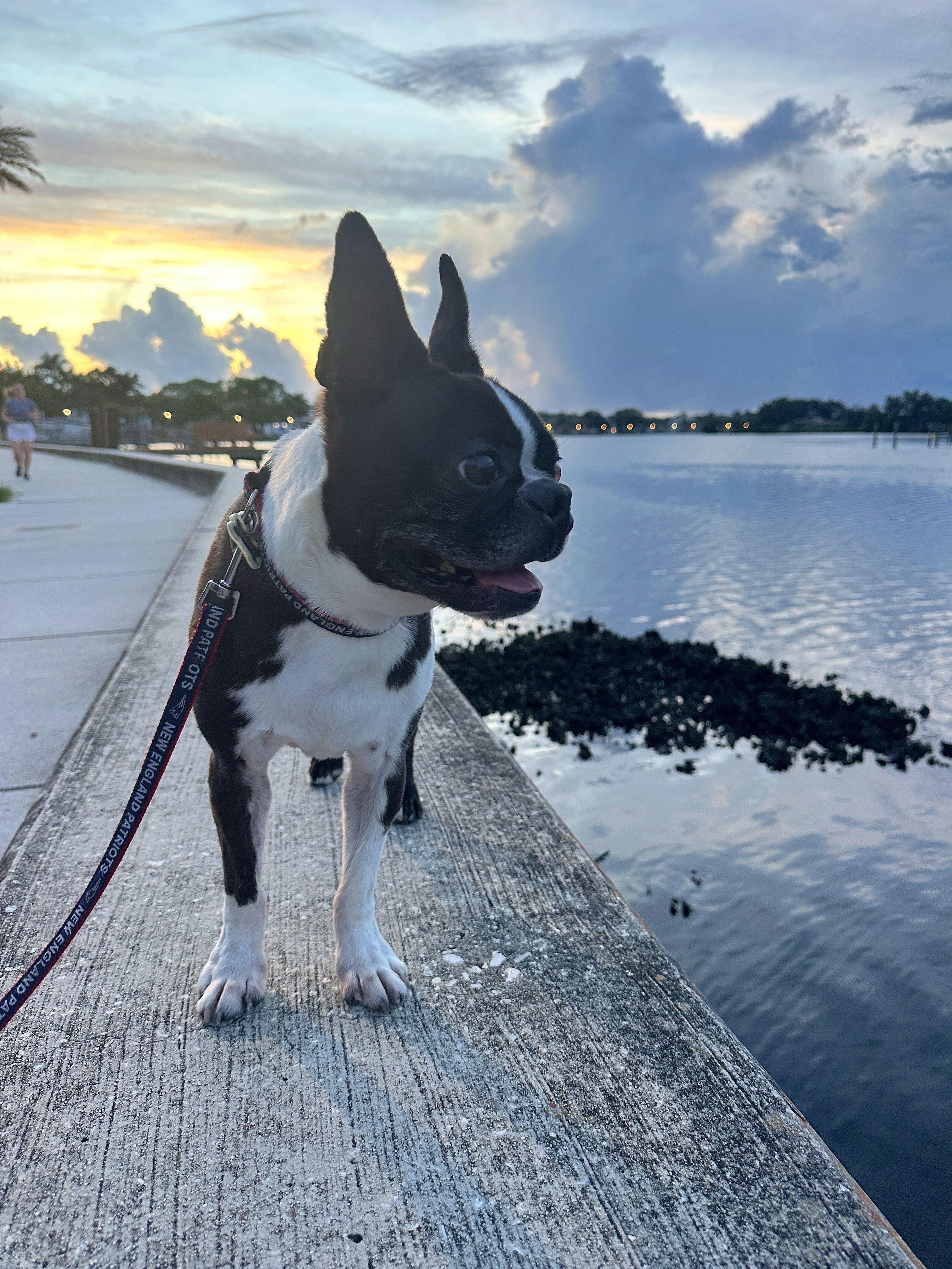 The Wedding Website of Mary Ogonowski and Matthew Howarth