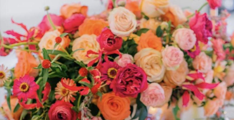 The Wedding Website of Courtni Pierce and Christopher Pavlik