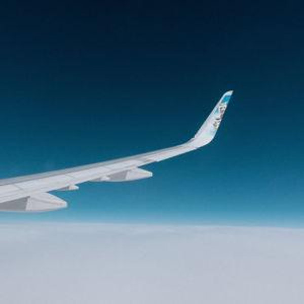 Honeymoon Flights