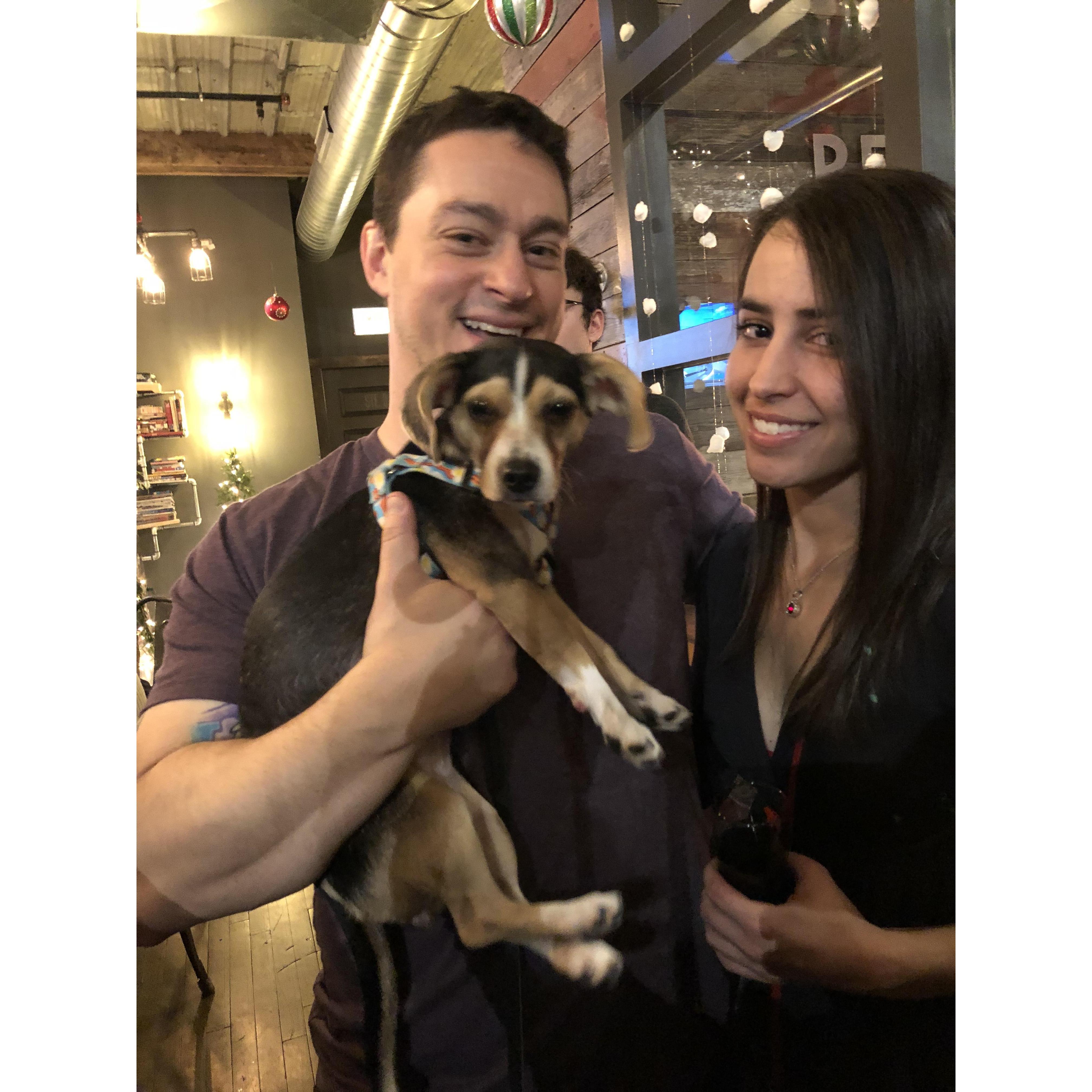 Tony's birthday with special guest Daisy