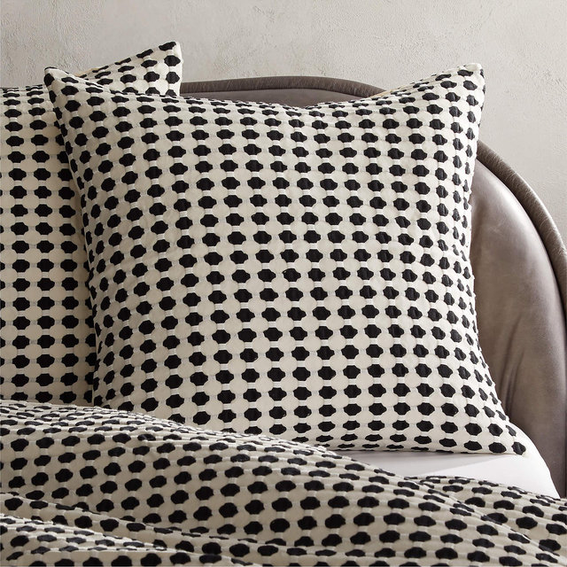 Estela Black and White Organic Cotton Euro Shams Set of 2