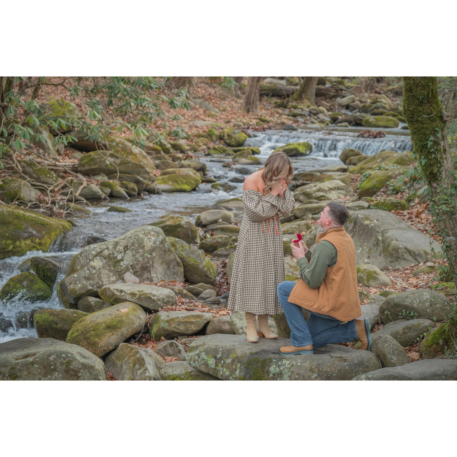 THE PROPOSAL!!!