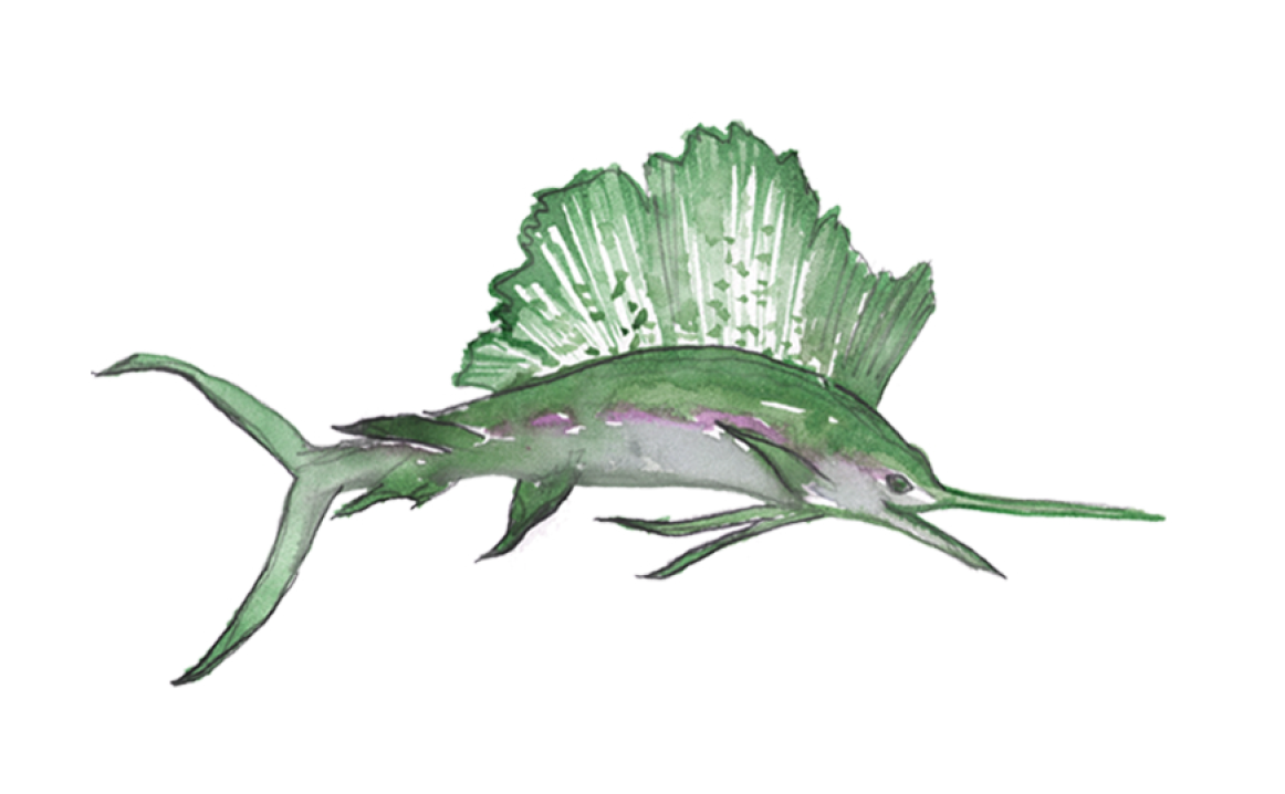 The Wedding Website of Weatherly Saunders and Kevin McGeary