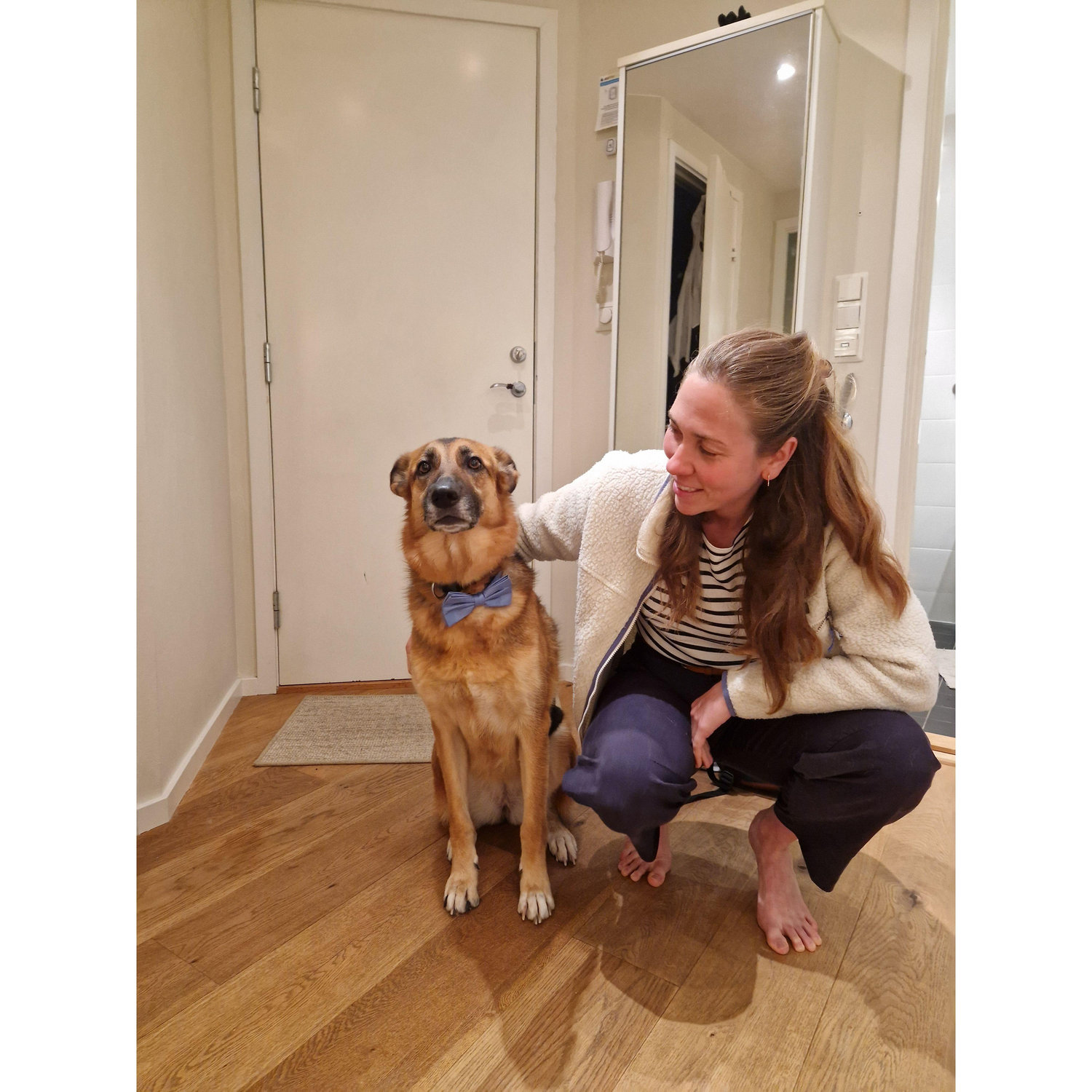 Le plus beau des chiens