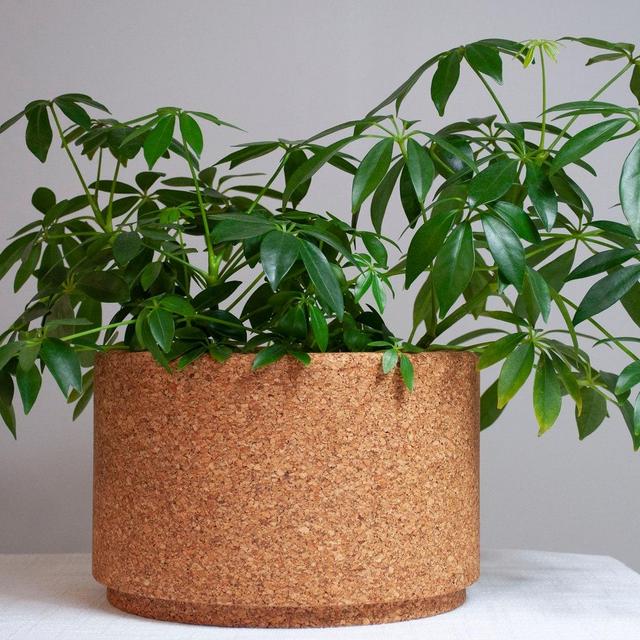 Cork Planter