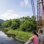 Hayswood Nature Reserve