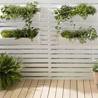 Dalya Outdoor Wall Planter, Set of 4