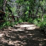 hike the barton creek greenbelt