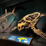 Tellus Science Museum