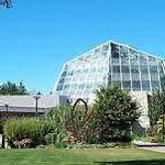 Butterfly Conservatory